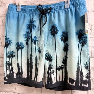 Men's Blue Ombre Palm-Print Swim Board Shorts